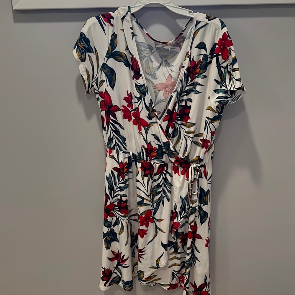 1x Dress